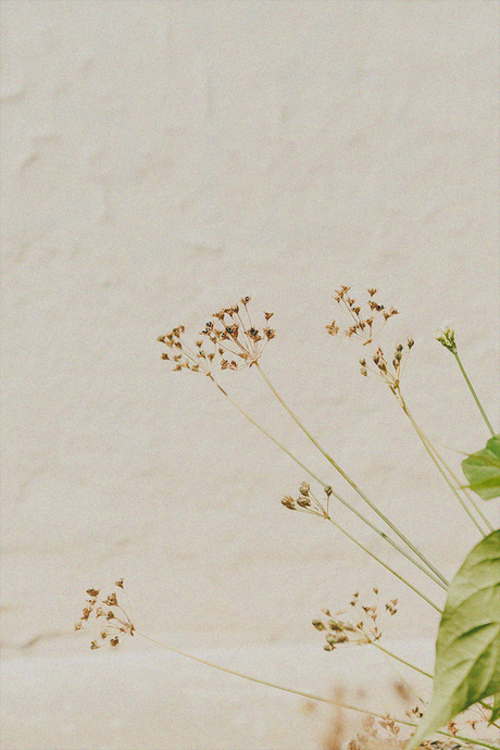 Download These: 3 Spring-Inspired Wallpapers